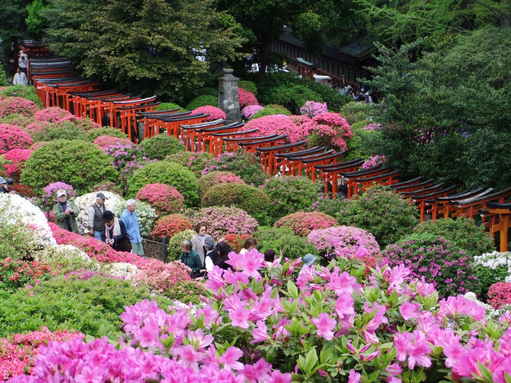 127289777354316431667_DSCF1620