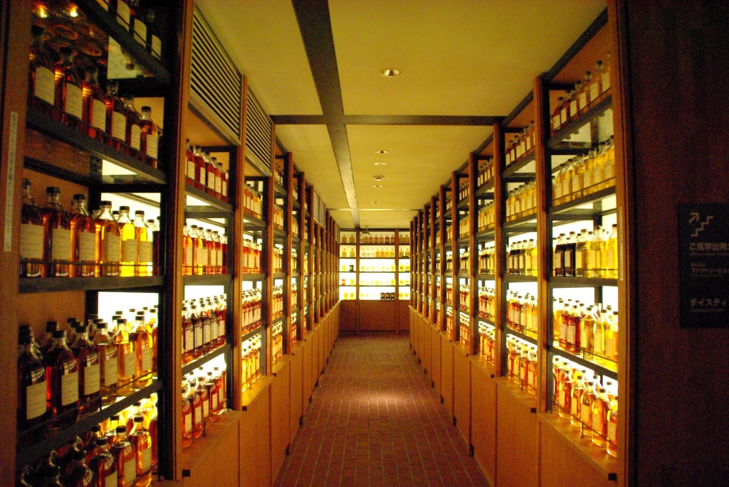 128002946113916110791_IMGP9742