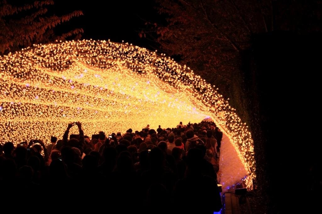 135264801162013217434_IMG_2980_20121112003331