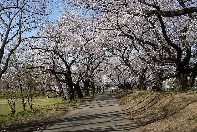 136418253314213213239_130322_145704-s