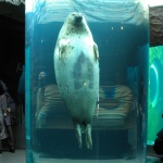 北海道のド真ん中！旭川の観光ランキングをご紹介！