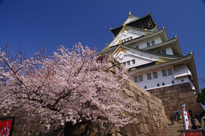 20120408-osakacastle-sakura02