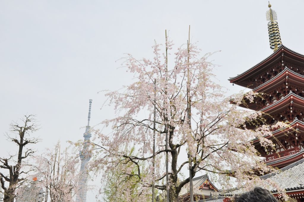 201504126DSC03021024