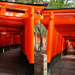 伏見稲荷大社の千本鳥居特集！意味や由来をご紹介します。