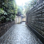 東京の散歩特集!ひとりで行くのはここ!