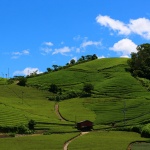 京都の観光穴場スポットはこちら！