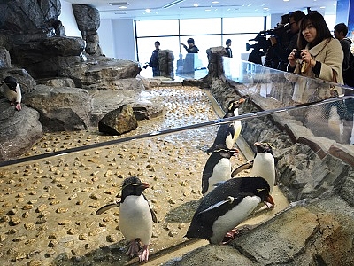 75354e8556ebda82ac5e-L