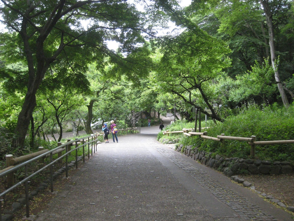 76e8a4f364b71da541cd4e5e09169a2e