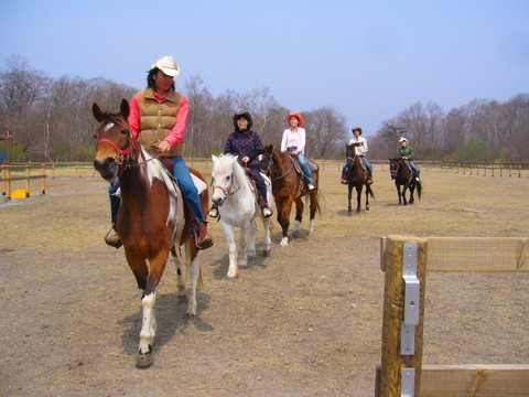 P1040478-thumb-480x360