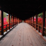 雨の日でも楽しめる！京都の観光オススメスポットをご紹介。