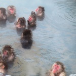 北海道の温泉人気ランキング!厳選5つをご紹介!