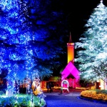 デートにオススメ♡素敵なイルミネーションをなばなの里で☆