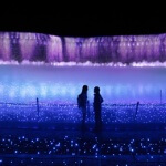 人が多い!なばなの里のイルミネーションの混雑を回避する方法と割引情報について。