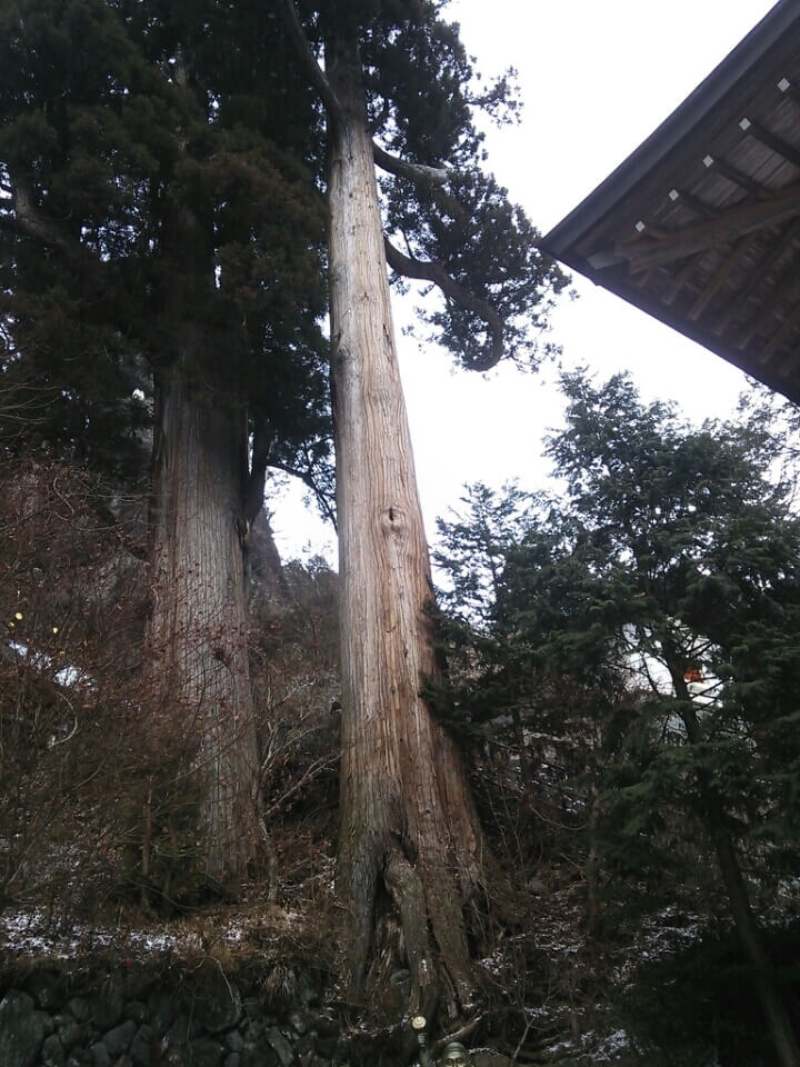 o0720096013176970026