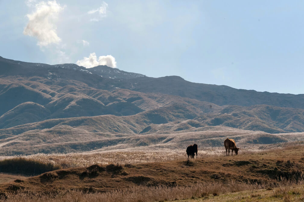 20140607014353-c9abf130-la