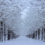 冬の旅行デート♡カップルにオススメの国内スポットはこちら。