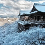 冬は関西でワクワクする旅行をしよう！