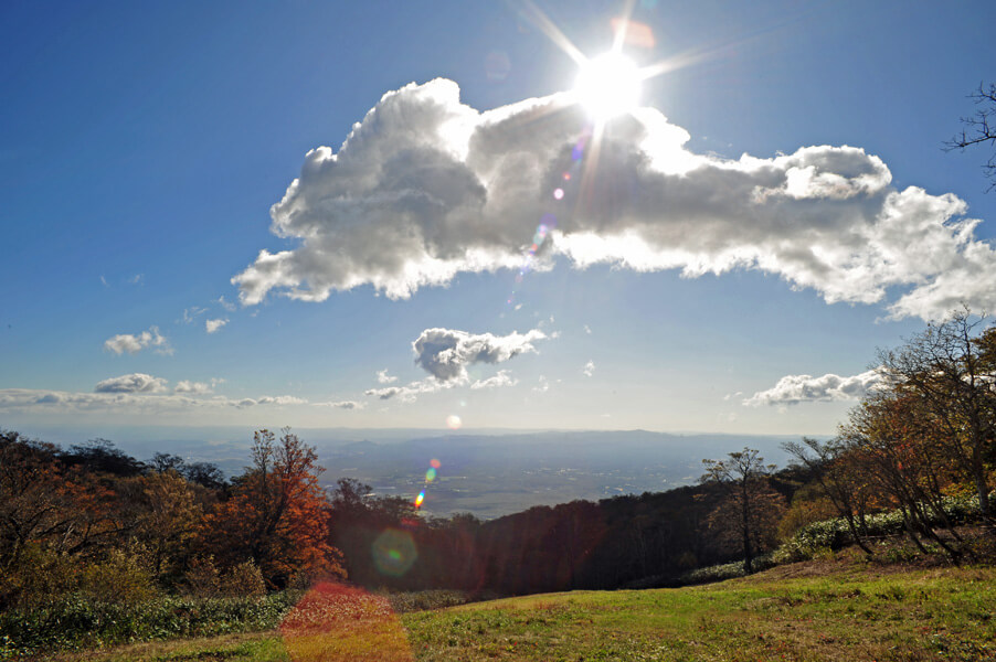 091011E982A3E9A088E9AB98E58E9F001