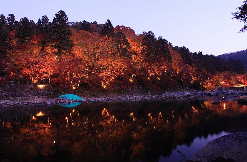 6003fe545508d76acaf8d83a8ac0343c