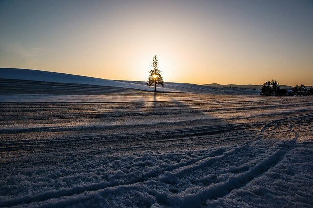 NKD14_yukitobiei-thumb-1000xauto-15325