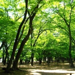 2016年のホワイトデー特集!東京でおすすめのデートスポットをご紹介!