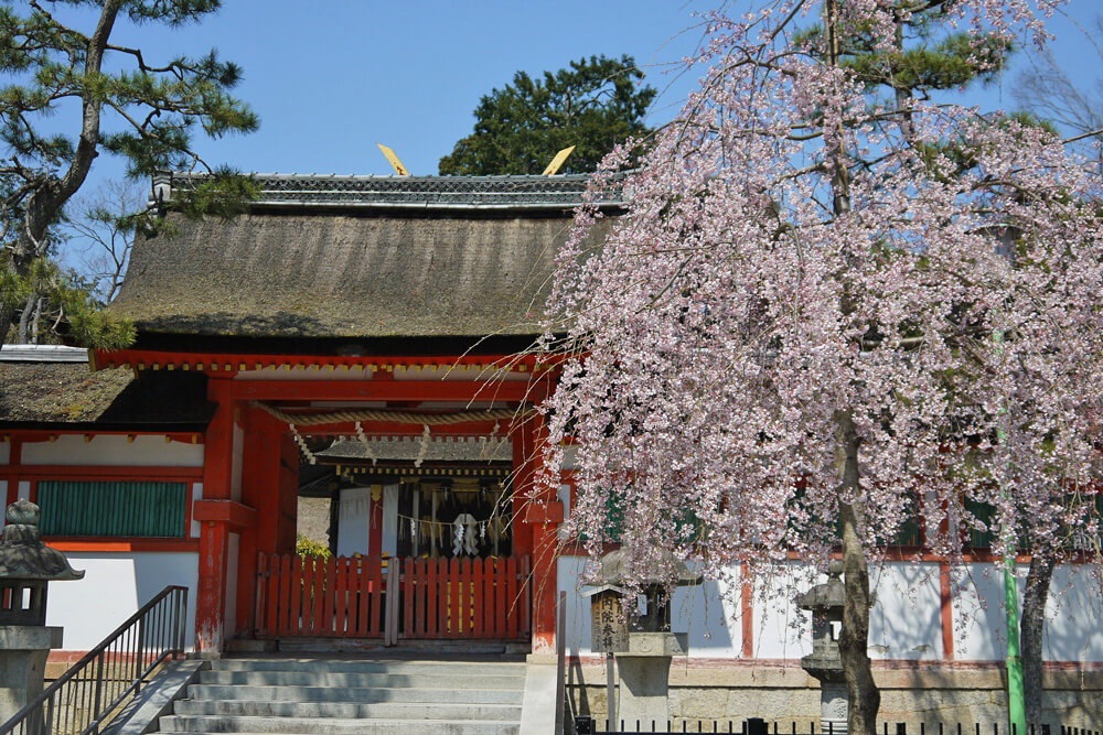 daigengu2