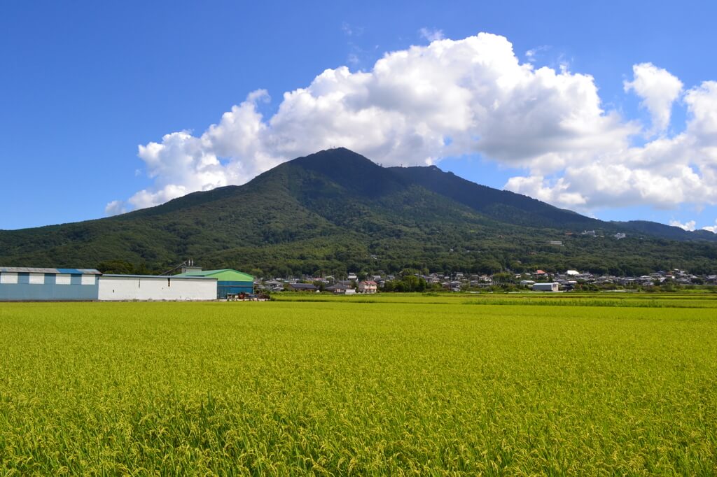 e527061712554b76076daebe9b32975a_l