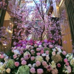 東京ミッドタウンで桜を楽しむ!テラスのあるレストランや限定メニューをご紹介。