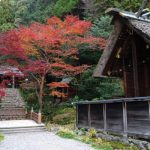 日向大神宮の天の岩戸をくぐろう！強力なパワースポットのご利益とは