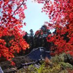 十輪寺が業平寺と呼ばれる理由は何?御朱印などもご紹介