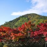 光悦寺の由来はやはり本阿弥光悦?見どころや御朱印についても紹介