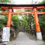 宇治神社と宇治上神社の違いとは?見返りうさぎが可愛い!
