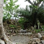 ソイツギの御嶽は現在も祭祀の場所!今帰仁城跡のパワースポット