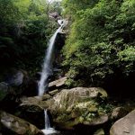 轟の滝は名護市のパワースポット!詳細や場所について